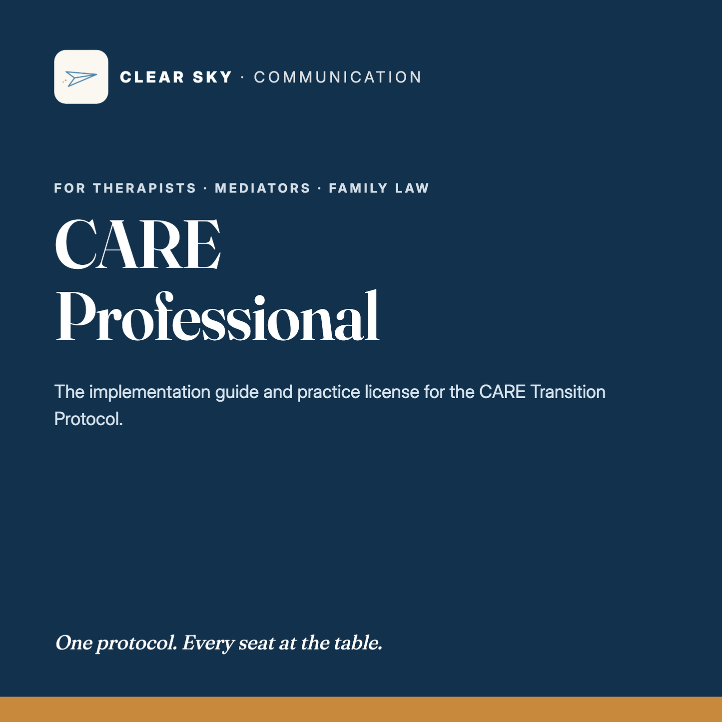 CARE Professional cover
